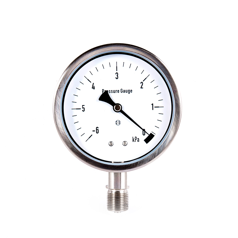 Yeb Series Stainless Steel Diafragma Gauge